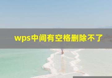 wps中间有空格删除不了