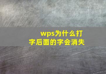 wps为什么打字后面的字会消失