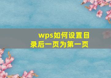 wps如何设置目录后一页为第一页