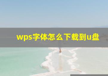 wps字体怎么下载到u盘