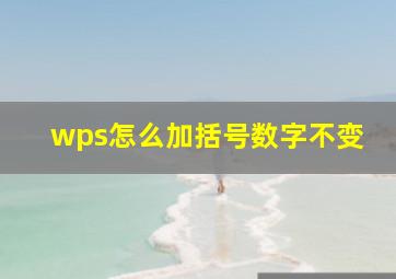 wps怎么加括号数字不变