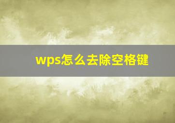 wps怎么去除空格键