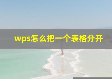 wps怎么把一个表格分开