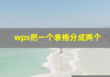 wps把一个表格分成两个