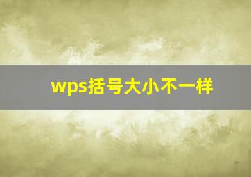 wps括号大小不一样