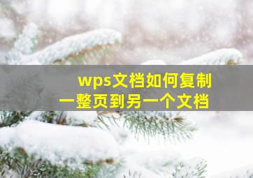 wps文档如何复制一整页到另一个文档