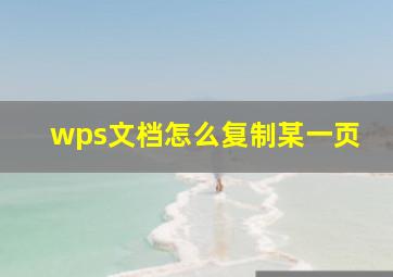 wps文档怎么复制某一页