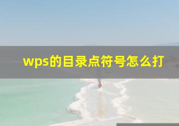 wps的目录点符号怎么打