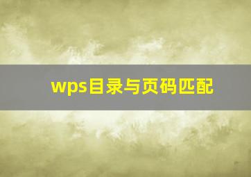 wps目录与页码匹配