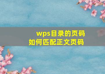 wps目录的页码如何匹配正文页码