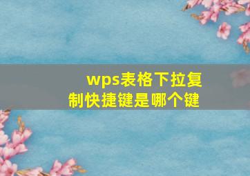 wps表格下拉复制快捷键是哪个键