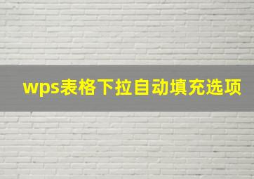 wps表格下拉自动填充选项