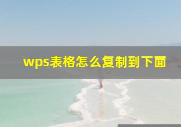 wps表格怎么复制到下面