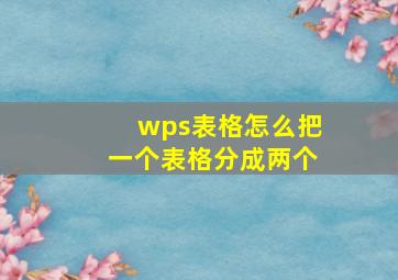 wps表格怎么把一个表格分成两个