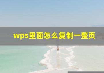 wps里面怎么复制一整页