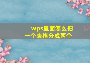 wps里面怎么把一个表格分成两个