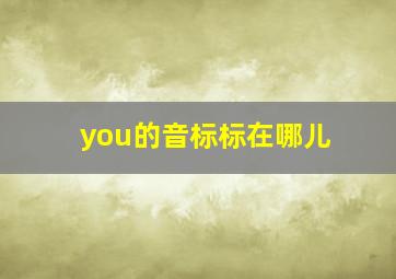 you的音标标在哪儿