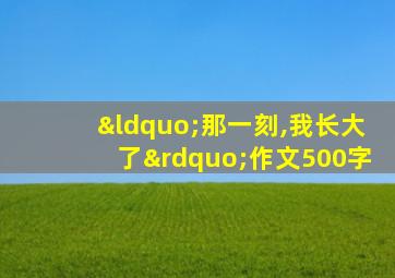 “那一刻,我长大了”作文500字