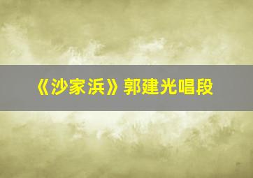 《沙家浜》郭建光唱段