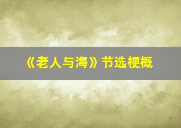 《老人与海》节选梗概