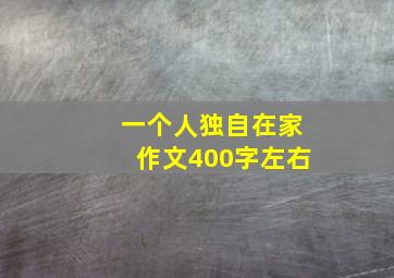 一个人独自在家作文400字左右