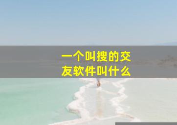 一个叫搜的交友软件叫什么