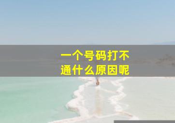 一个号码打不通什么原因呢