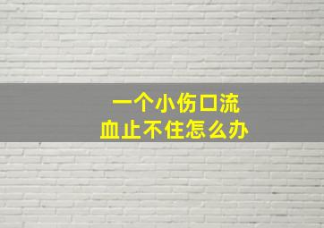 一个小伤口流血止不住怎么办