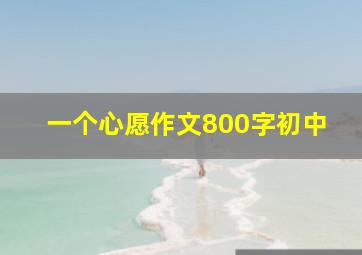 一个心愿作文800字初中