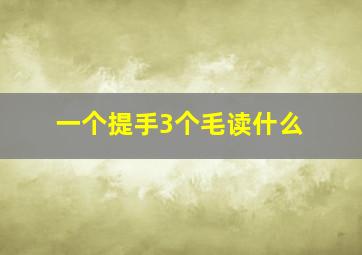 一个提手3个毛读什么