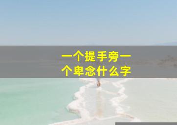 一个提手旁一个卑念什么字