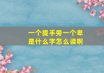 一个提手旁一个卑是什么字怎么读啊