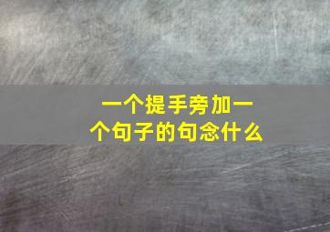 一个提手旁加一个句子的句念什么