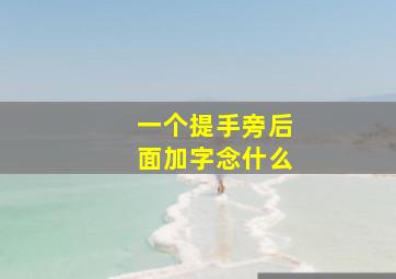 一个提手旁后面加字念什么