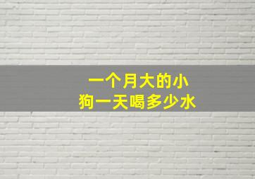 一个月大的小狗一天喝多少水