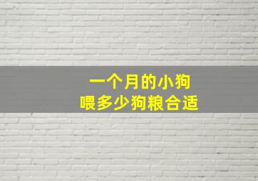 一个月的小狗喂多少狗粮合适