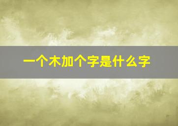 一个木加个字是什么字