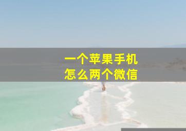 一个苹果手机怎么两个微信