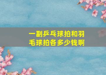 一副乒乓球拍和羽毛球拍各多少钱啊