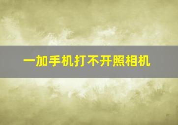 一加手机打不开照相机