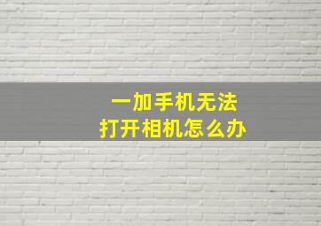 一加手机无法打开相机怎么办