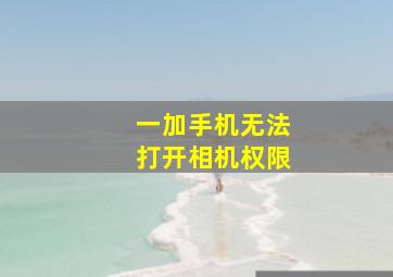 一加手机无法打开相机权限