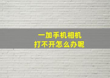 一加手机相机打不开怎么办呢