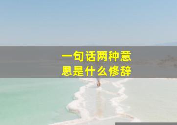 一句话两种意思是什么修辞