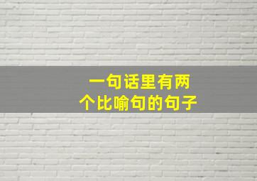 一句话里有两个比喻句的句子