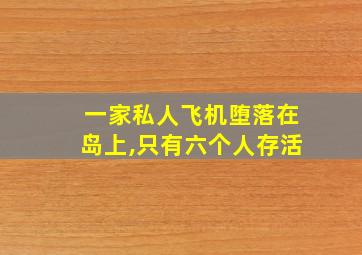 一家私人飞机堕落在岛上,只有六个人存活