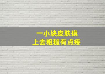 一小块皮肤摸上去粗糙有点疼