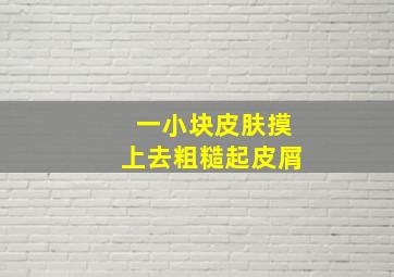 一小块皮肤摸上去粗糙起皮屑