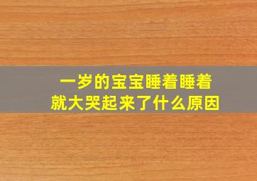 一岁的宝宝睡着睡着就大哭起来了什么原因