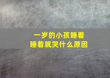 一岁的小孩睡着睡着就哭什么原因